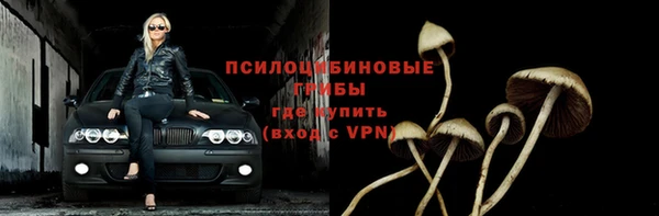 стаф Белокуриха