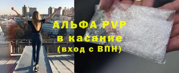 стаф Белокуриха