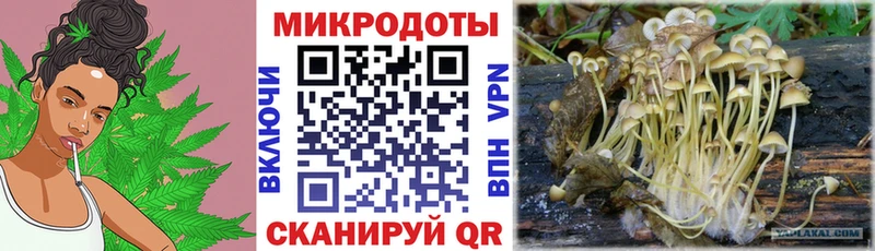 Галлюциногенные грибы Magic Shrooms  Белоусово 